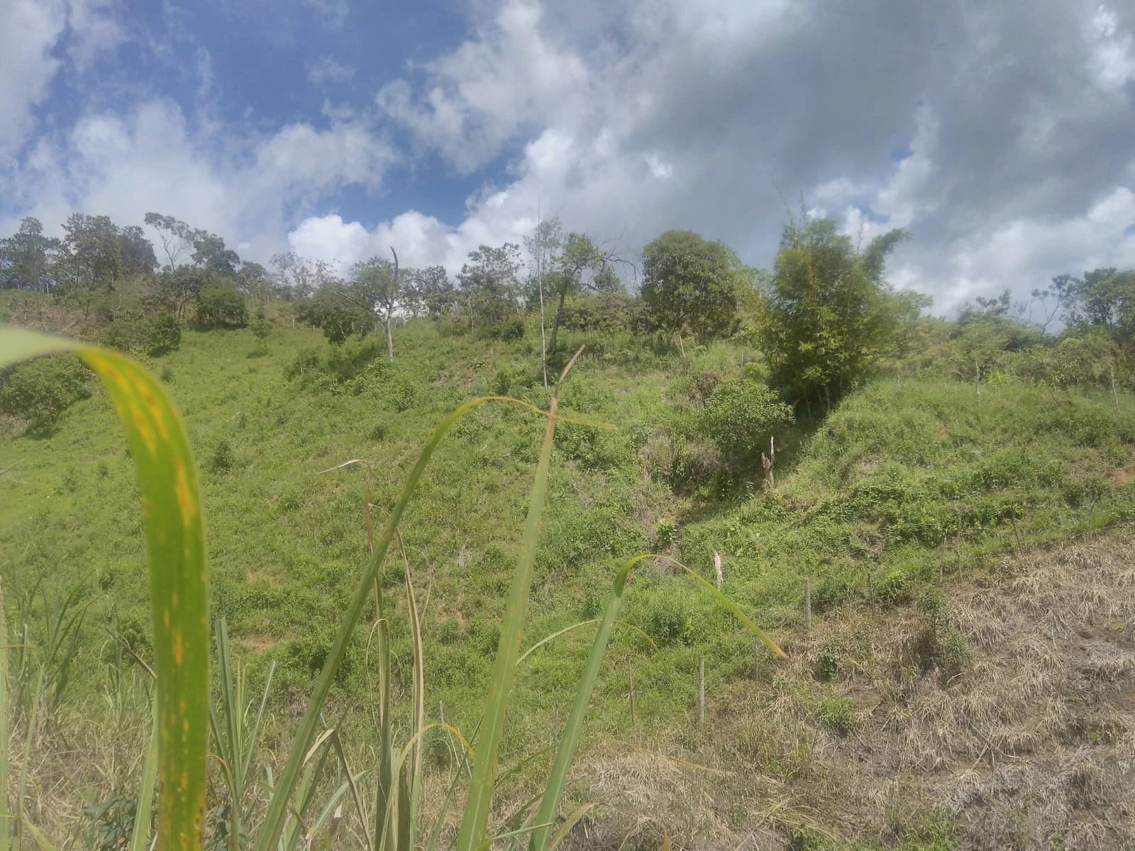 VENDO LOTE EN SANTO DOMINGO ANTIOQUIA