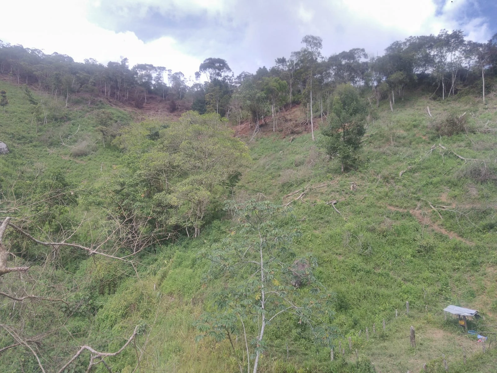 VENDO LOTE EN SANTO DOMINGO ANTIOQUIA