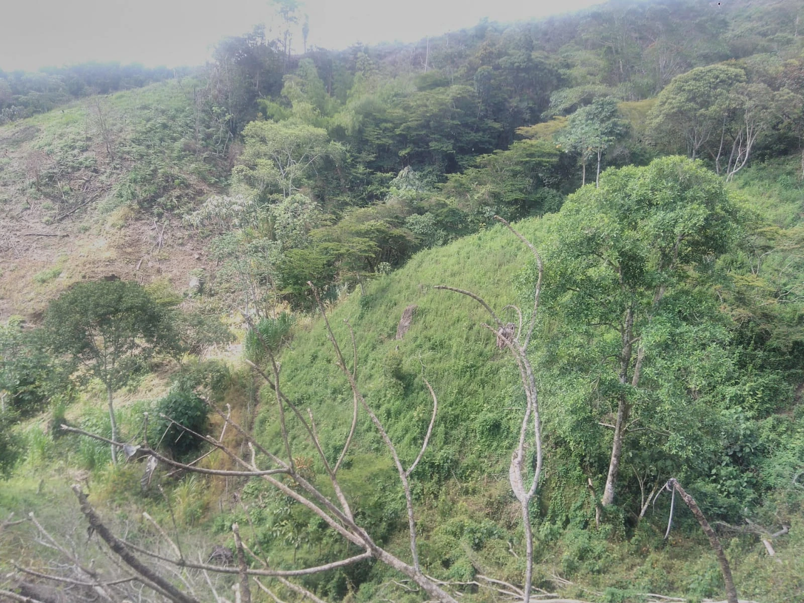VENDO LOTE EN SANTO DOMINGO ANTIOQUIA