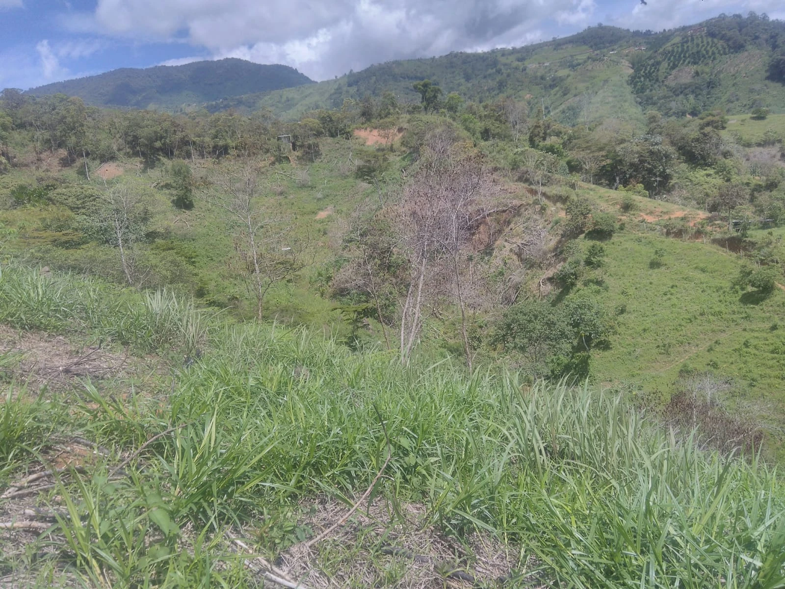 VENDO LOTE EN SANTO DOMINGO ANTIOQUIA