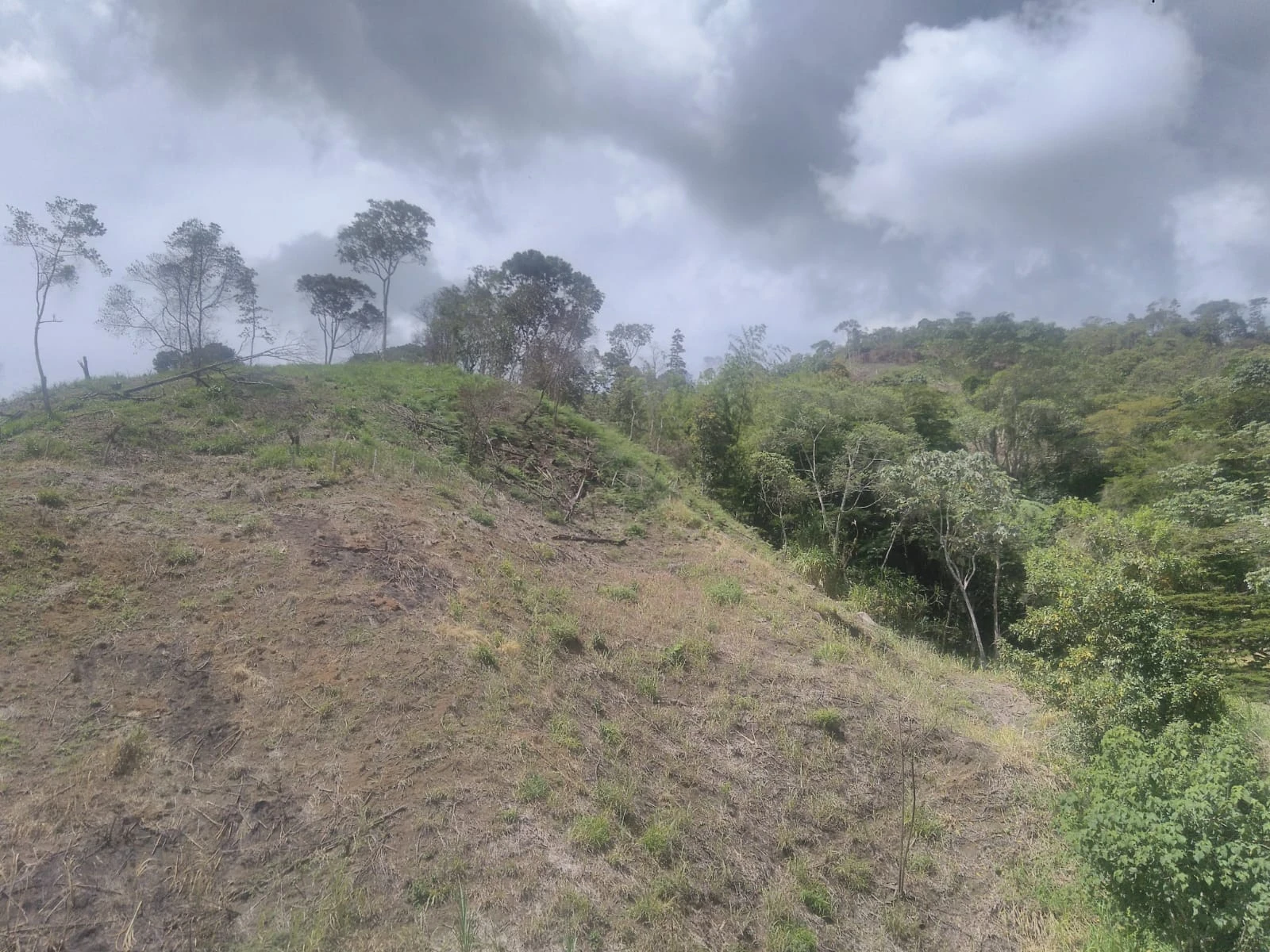 VENDO LOTE EN SANTO DOMINGO ANTIOQUIA