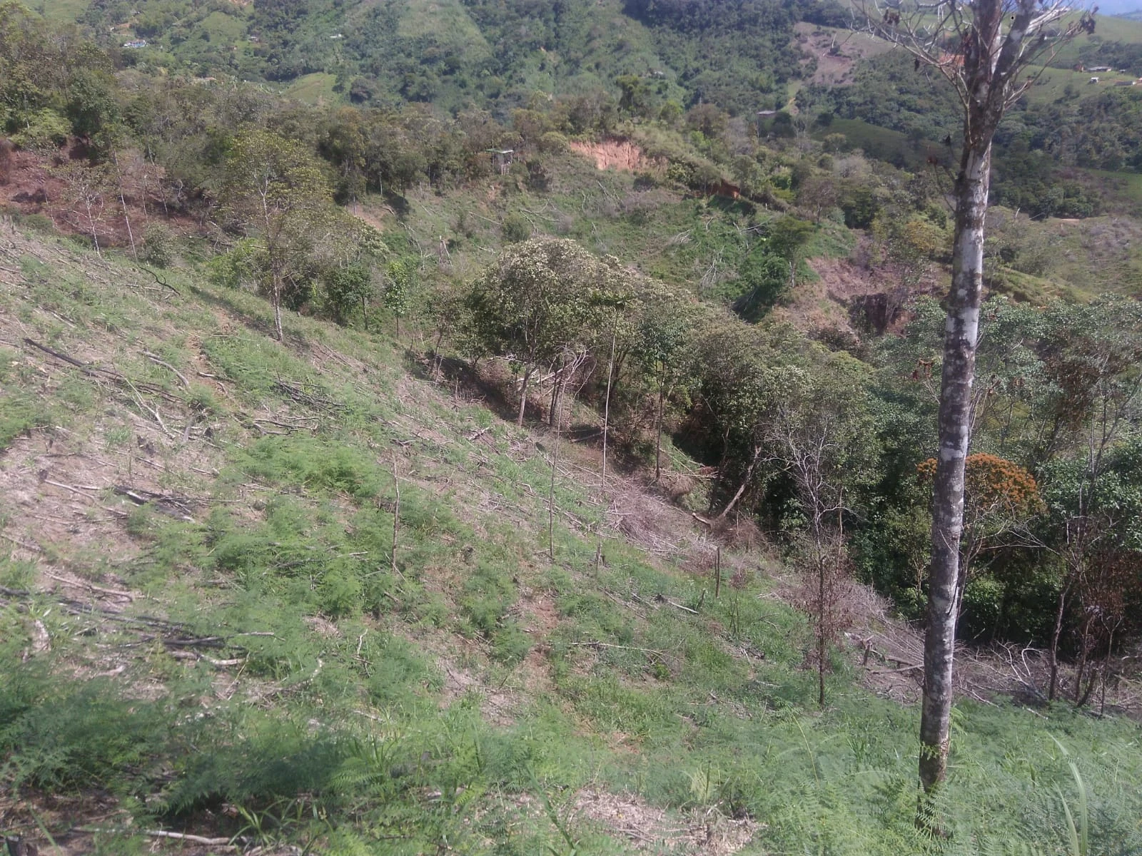 VENDO LOTE EN SANTO DOMINGO ANTIOQUIA