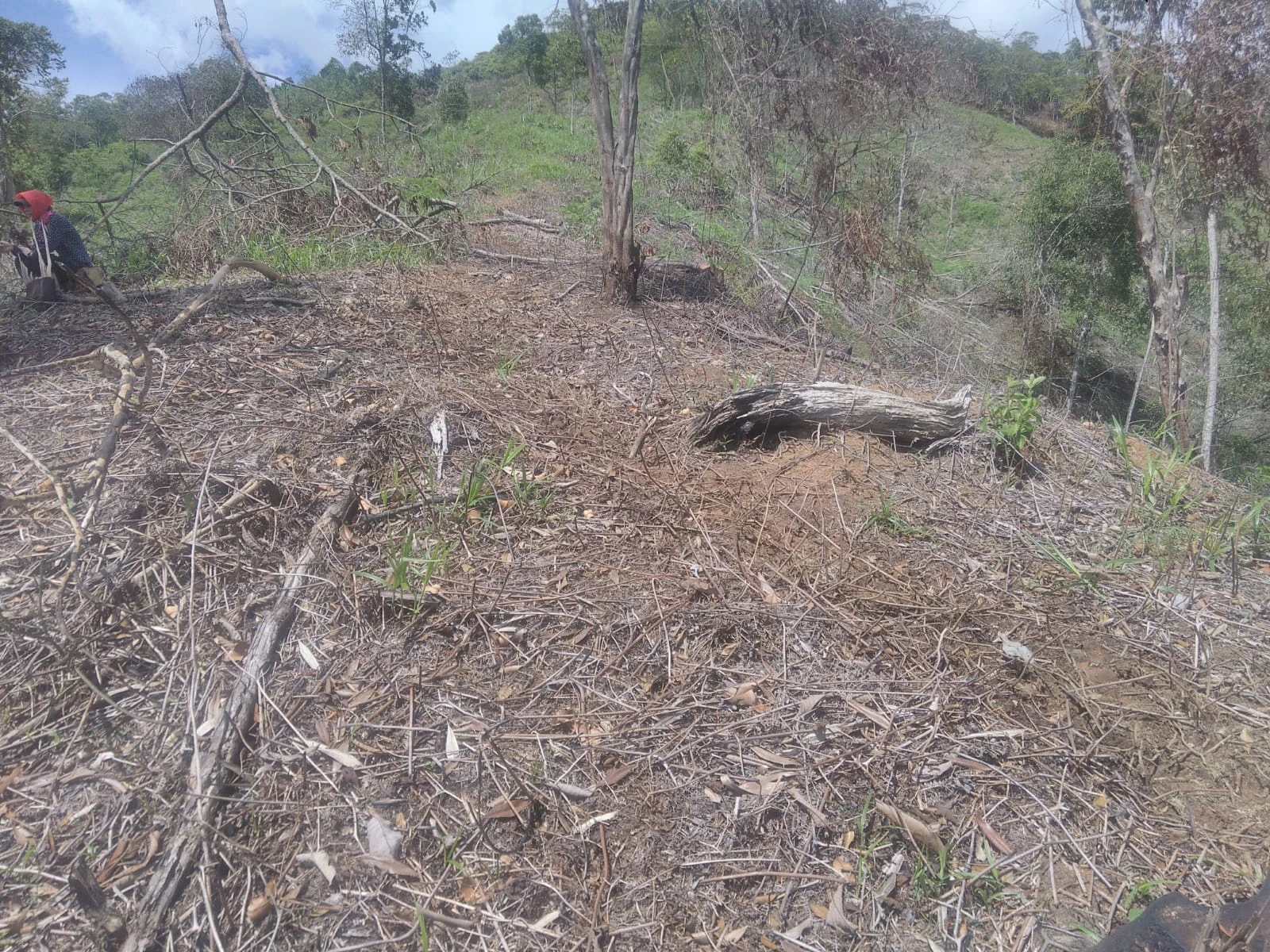 VENDO LOTE EN SANTO DOMINGO ANTIOQUIA