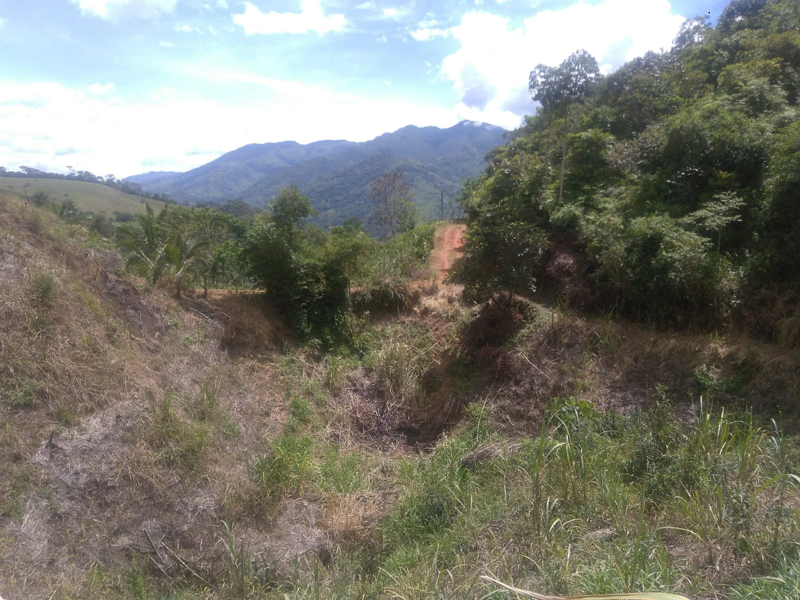 VENDO LOTE EN SANTO DOMINGO ANTIOQUIA
