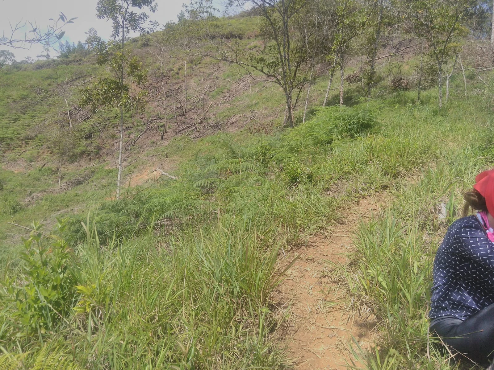 VENDO LOTE EN SANTO DOMINGO ANTIOQUIA