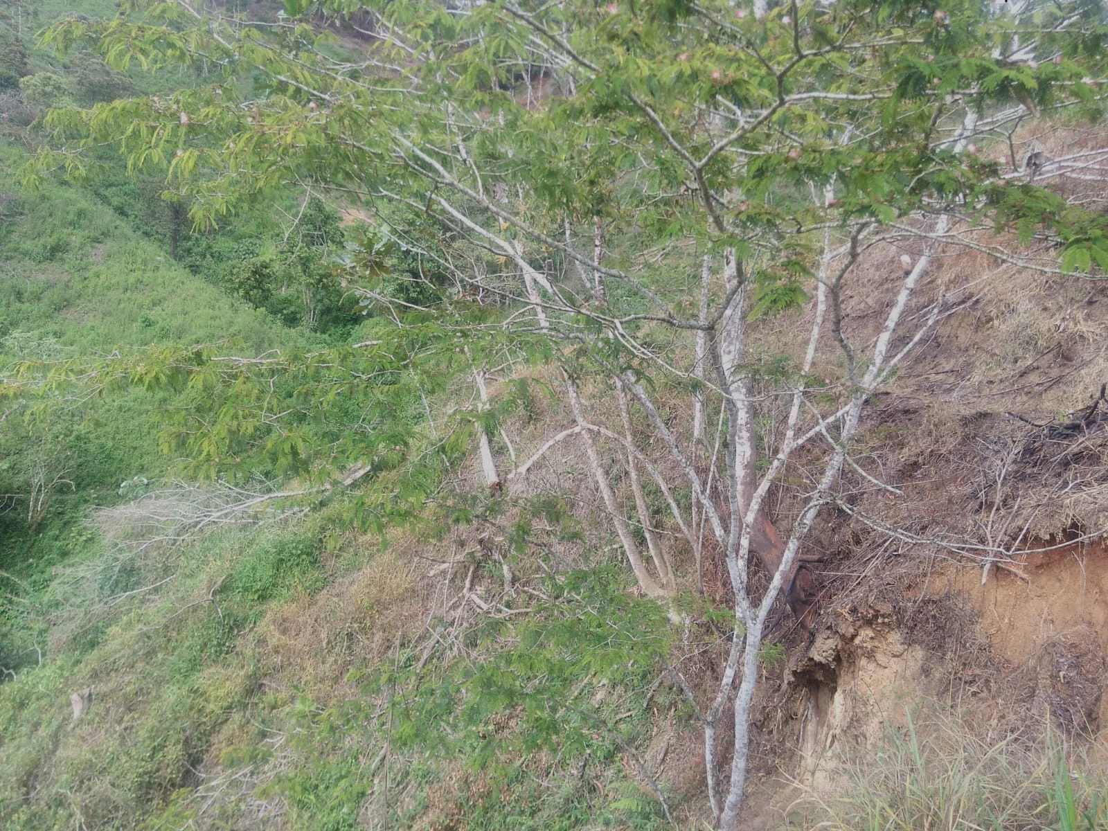 VENDO LOTE EN SANTO DOMINGO ANTIOQUIA