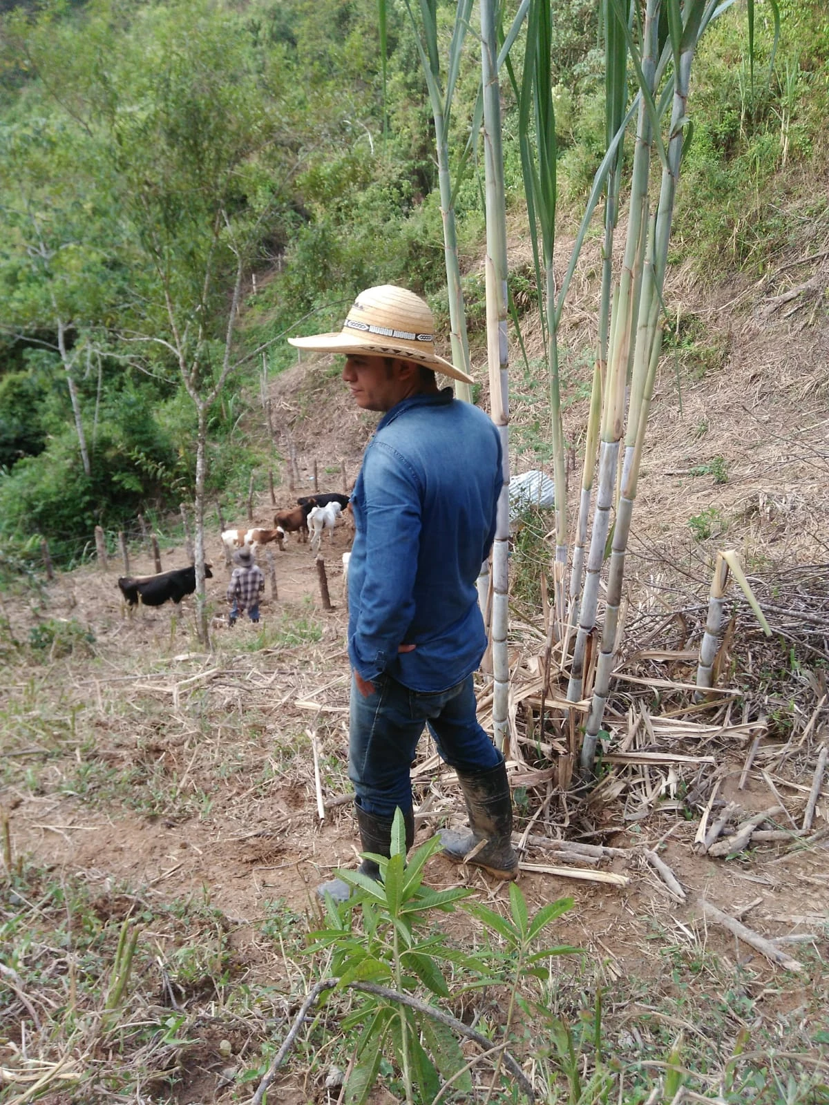 VENDO LOTE EN SANTO DOMINGO ANTIOQUIA