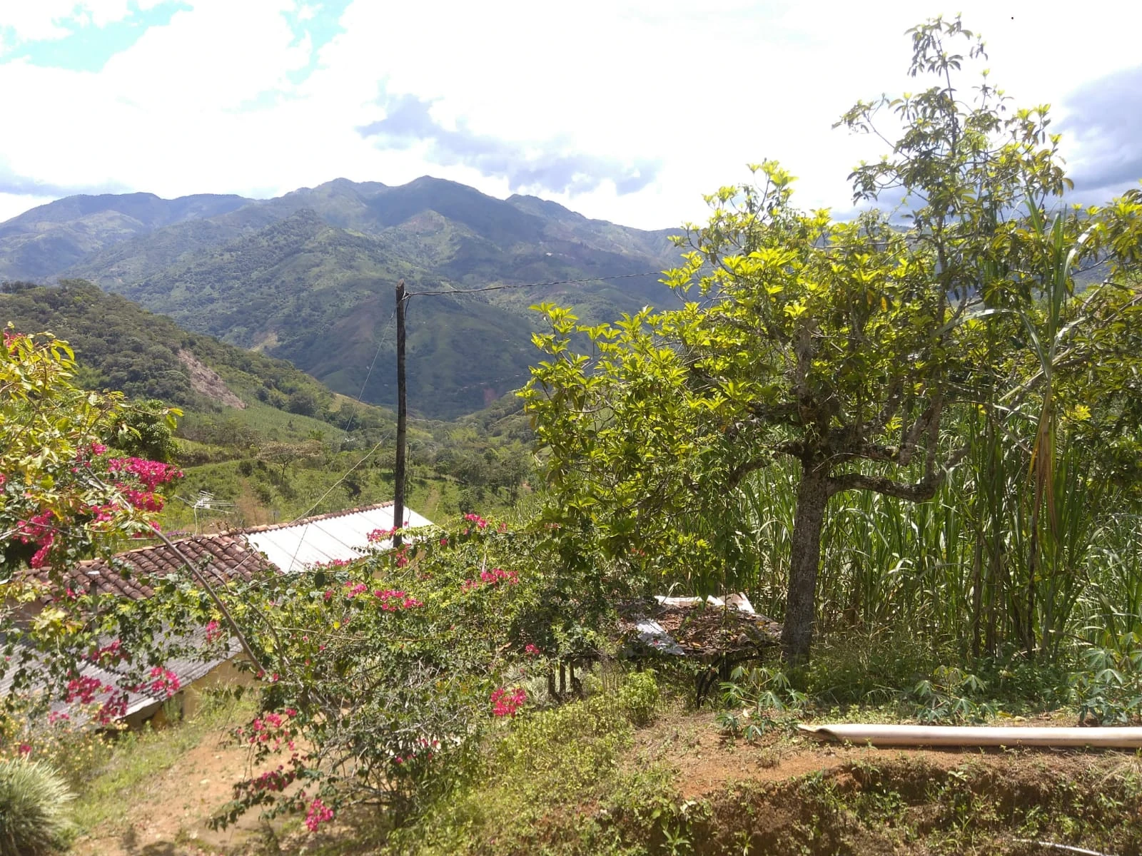 VENDO LOTE EN SANTO DOMINGO ANTIOQUIA
