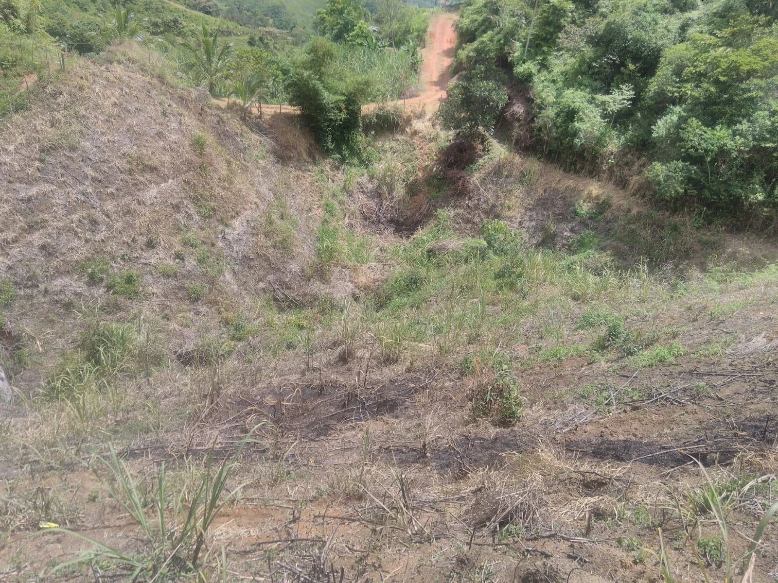 VENDO LOTE EN SANTO DOMINGO ANTIOQUIA
