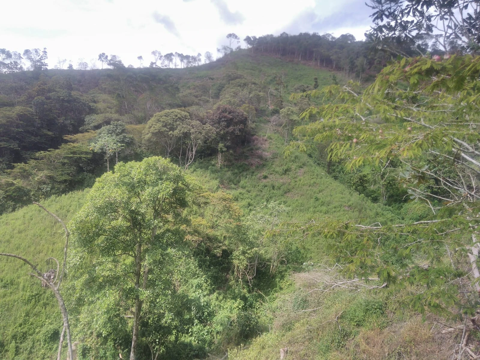 VENDO LOTE EN SANTO DOMINGO ANTIOQUIA