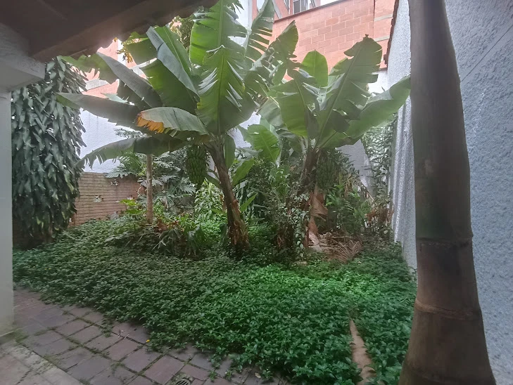 Casa Comercial en Arriendo El Nogal Medellín