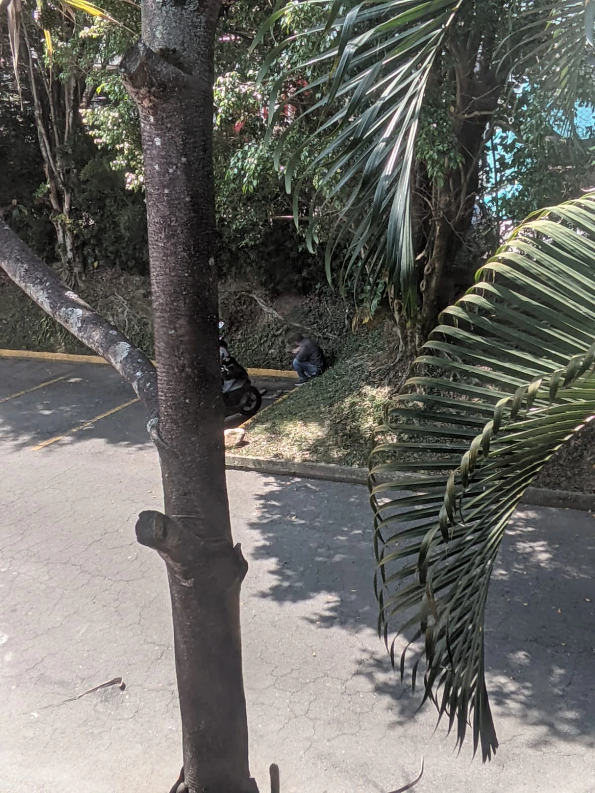 Casa en Arriendo Millan Vallejuelos Envigado