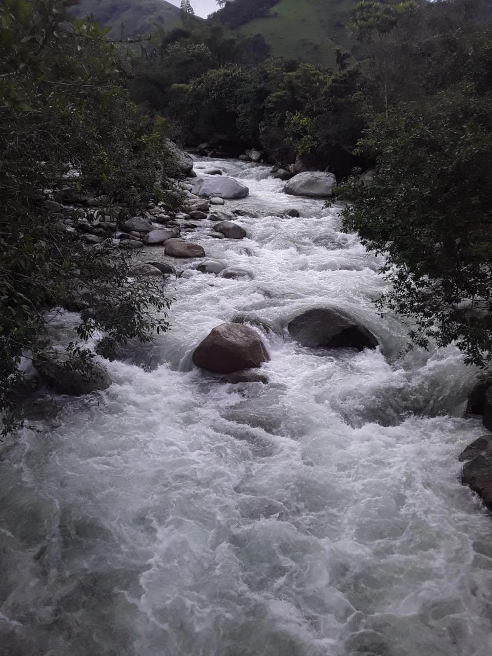 Finca Comercial en Venta Nariño Antioquia 