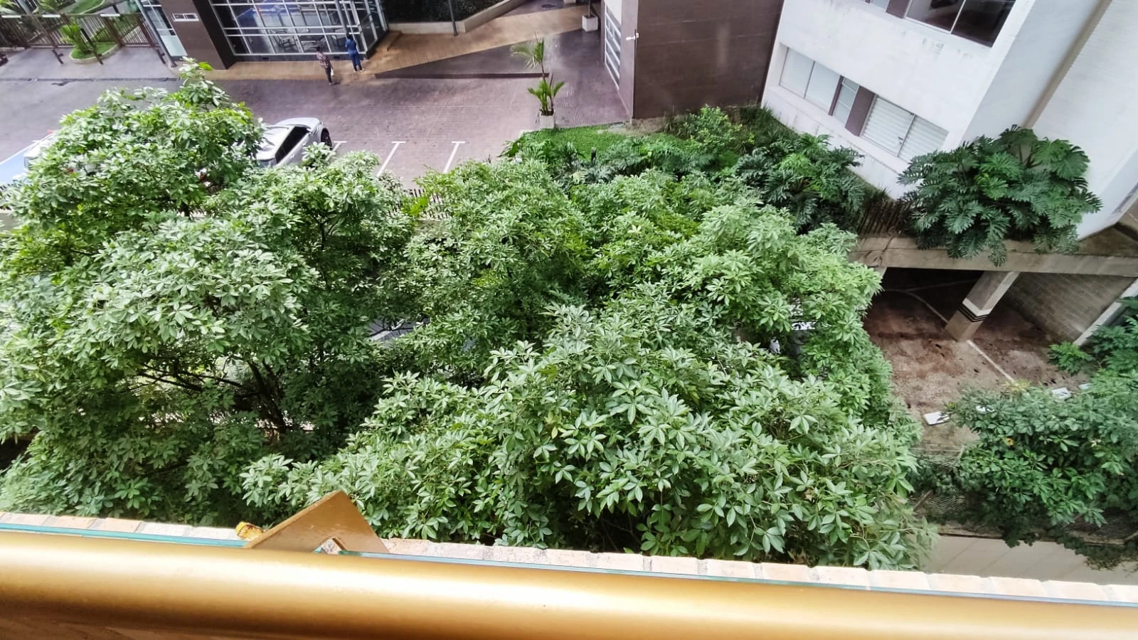 apartamento en arriendo sector balsos 