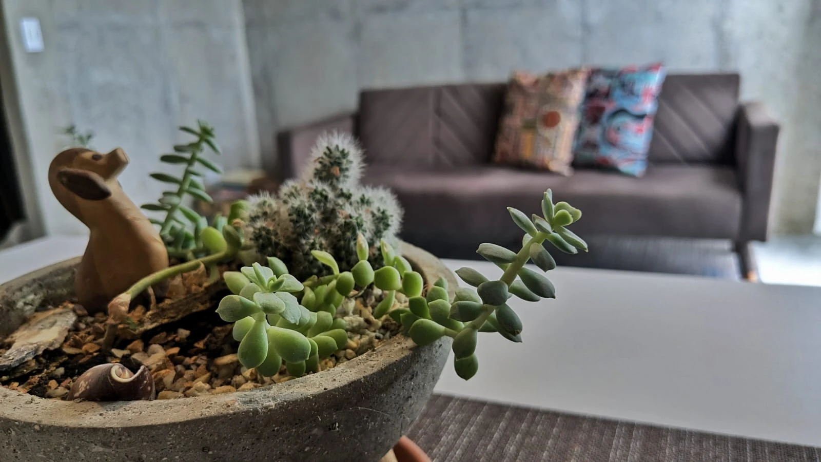 Apartamento Amoblado en las Lomitas Sabaneta