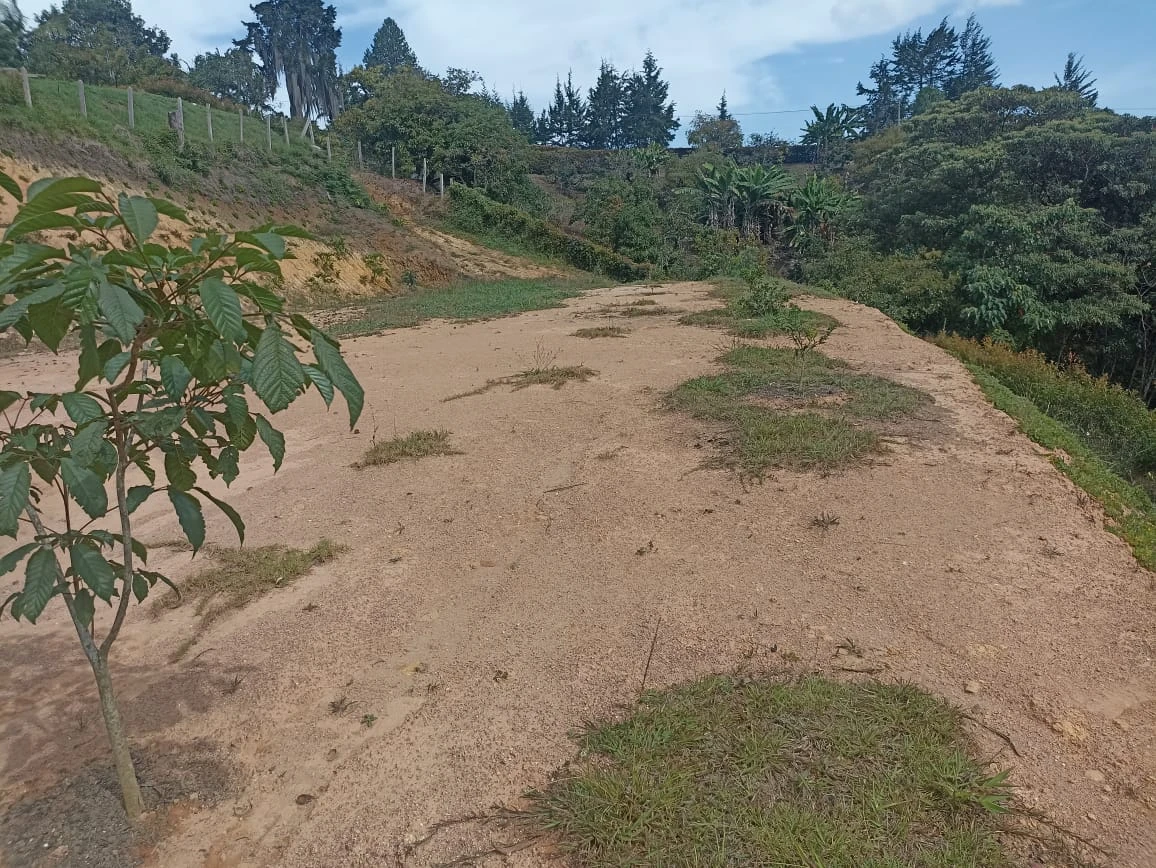 lote en venta vereda garrido guarne 