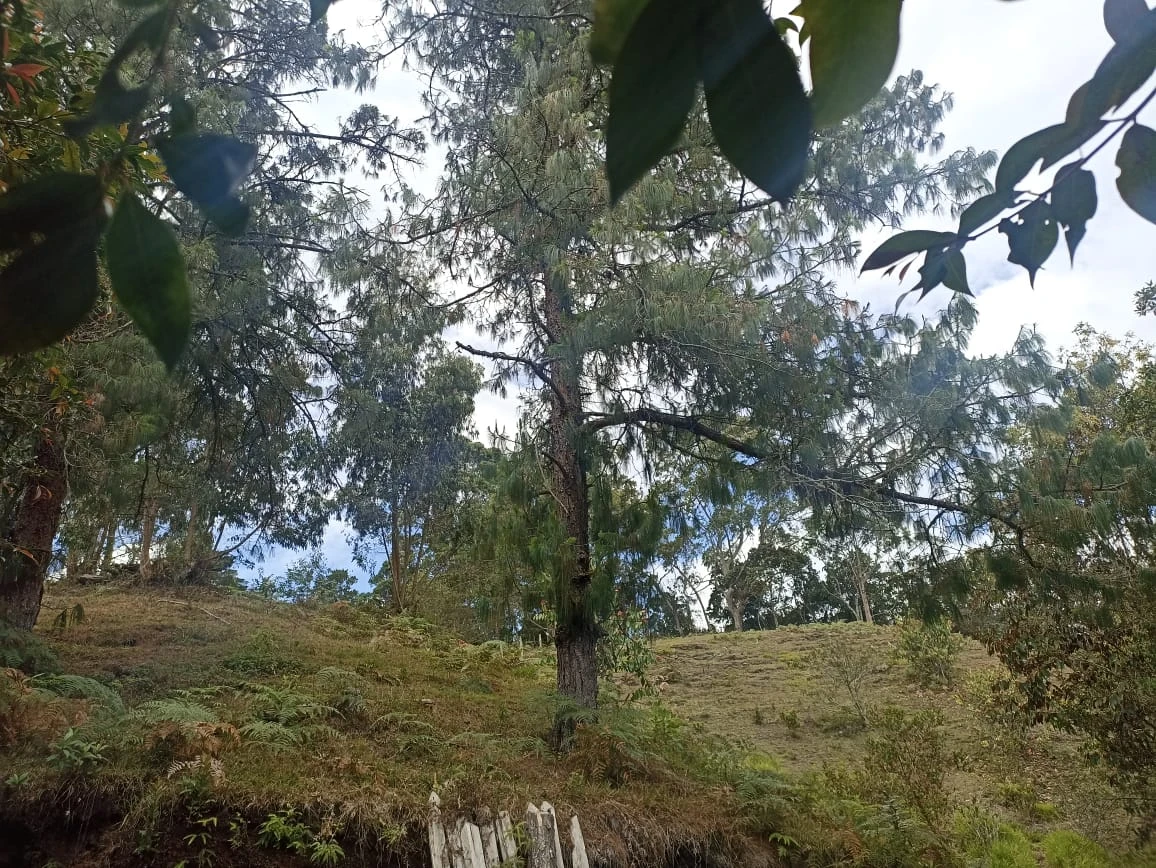 Lote en venta en Rionegro- Sajonia 