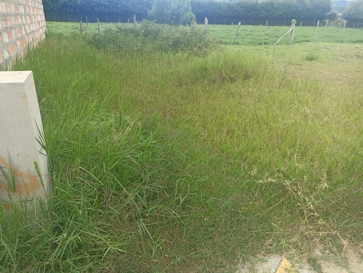 Lote en venta en La Ceja 