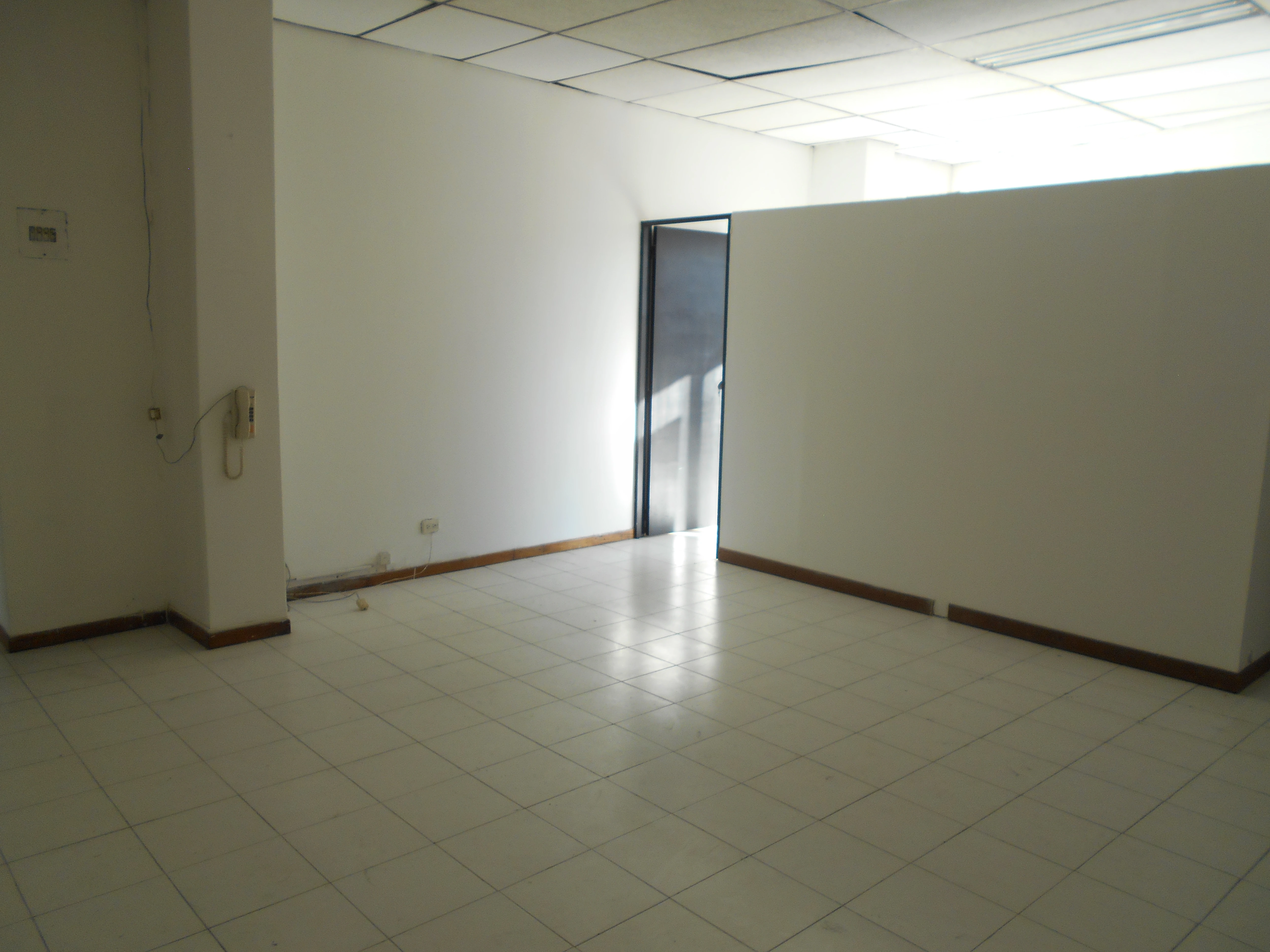 apartamento en arriendo sector Poblado la diez 10