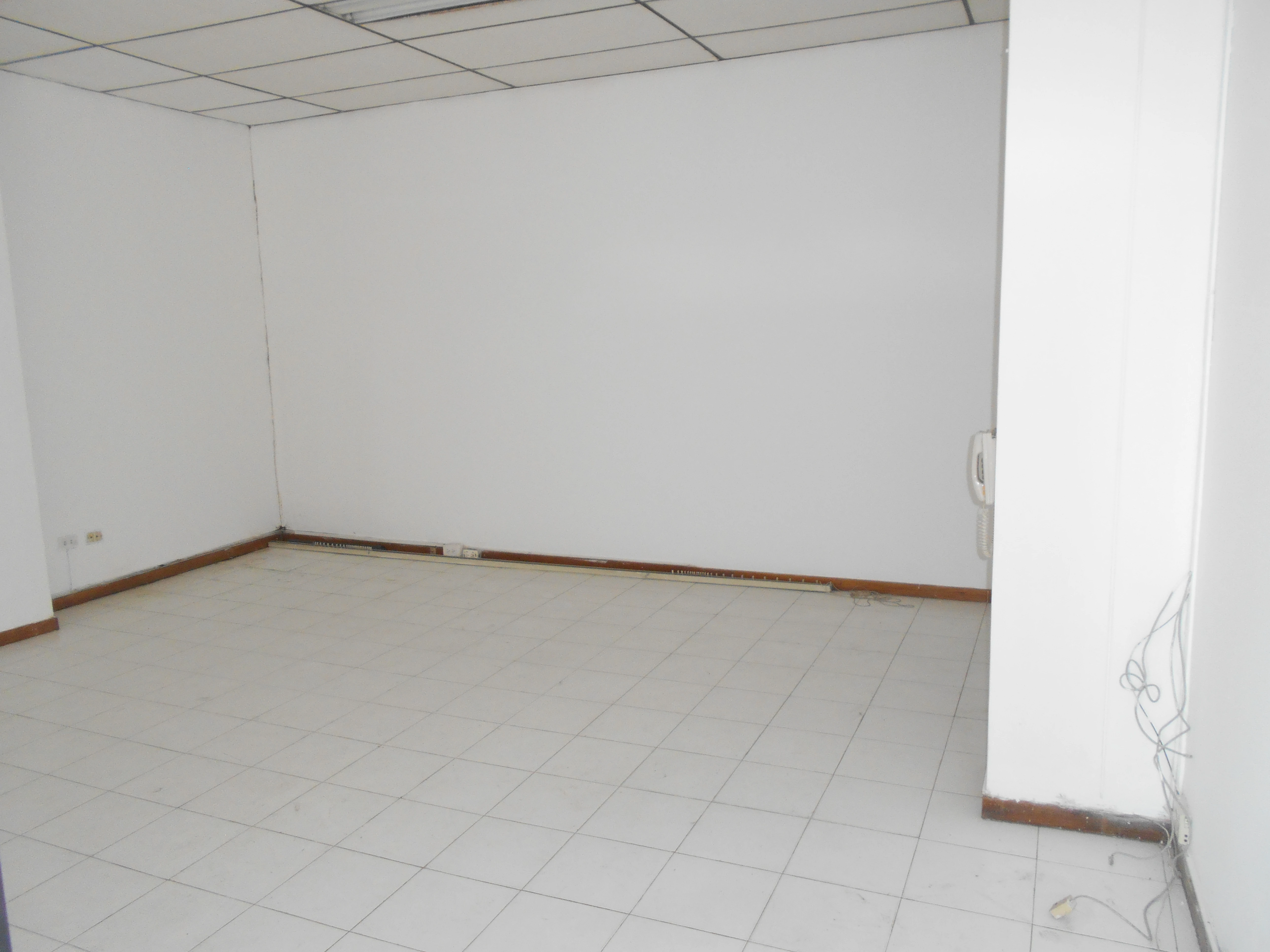 apartamento en arriendo sector Poblado la diez 10