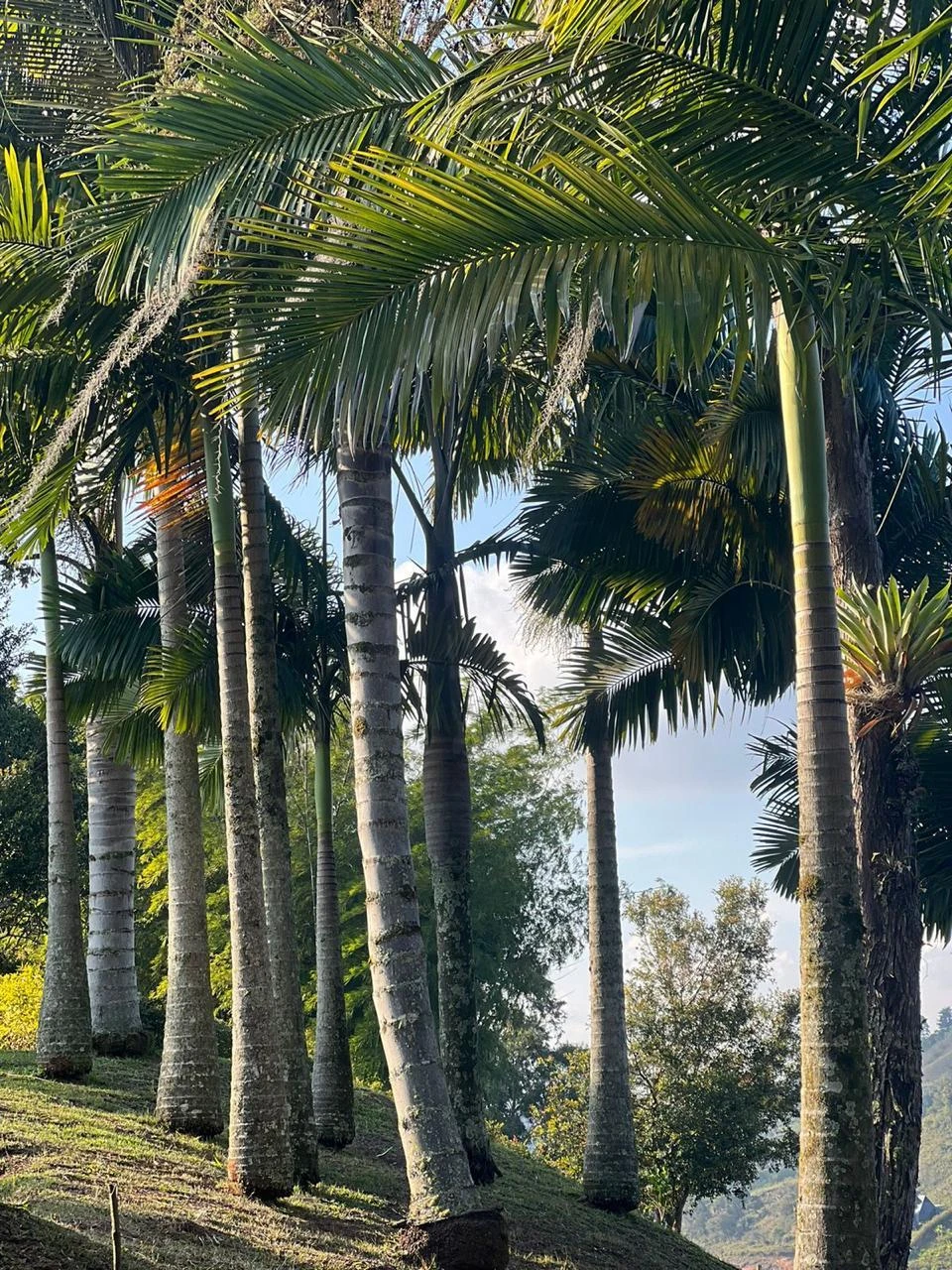 casa de campo el peñol