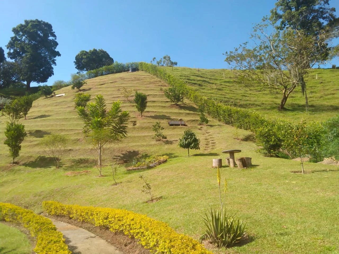 finca VILLA ALSER 