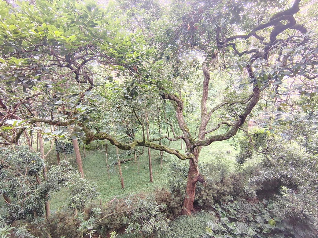 Apartamento en arriendo sector El Campestre