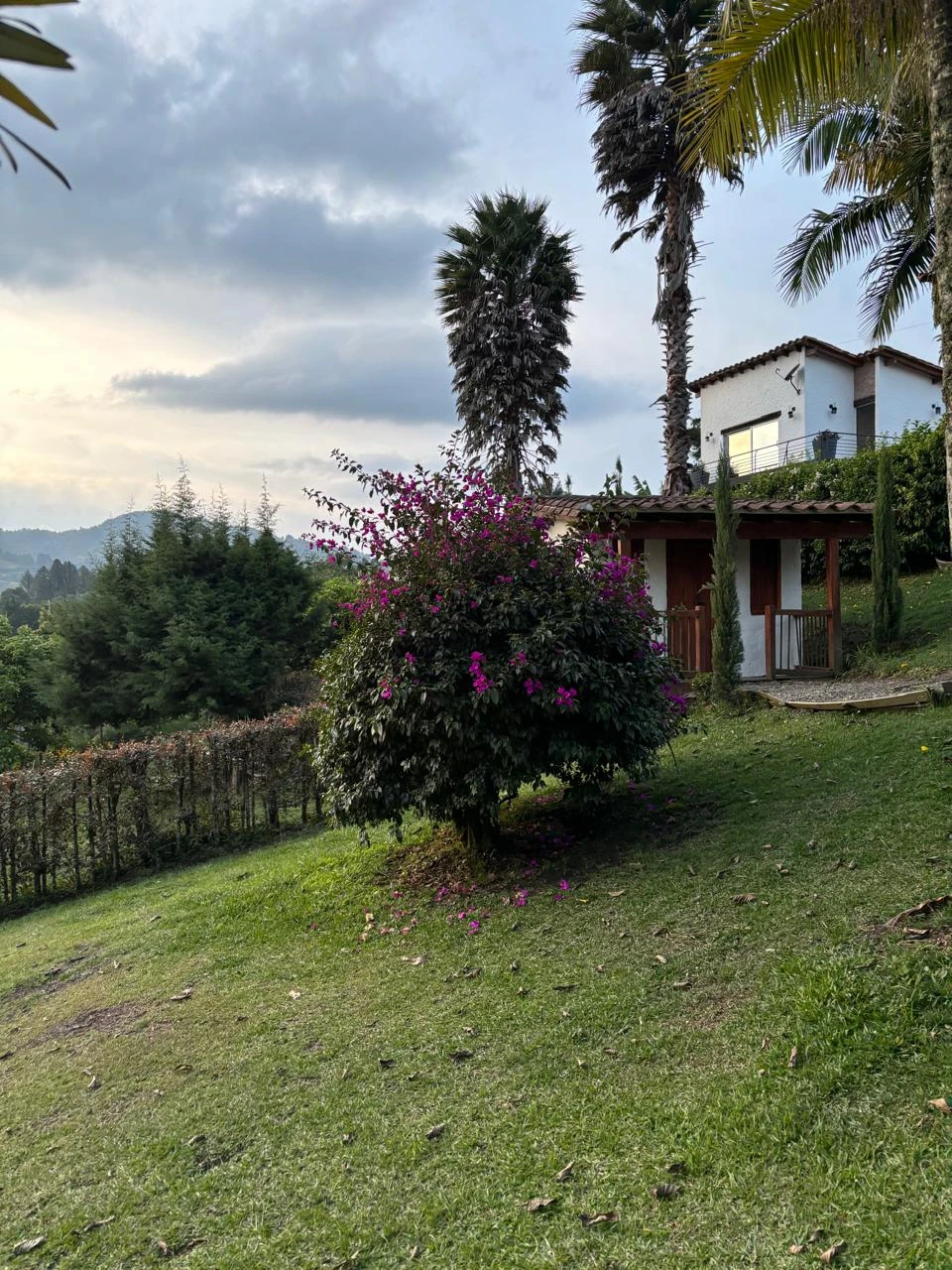 CASA LOTE EN VENTA Y ARRIENDO, EL TABLAZO - RIONEGRO 