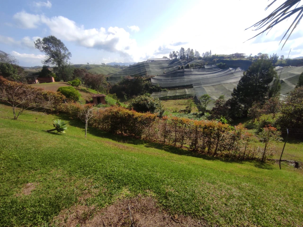 Finca en venta en San Vicente- vereda la Enea 