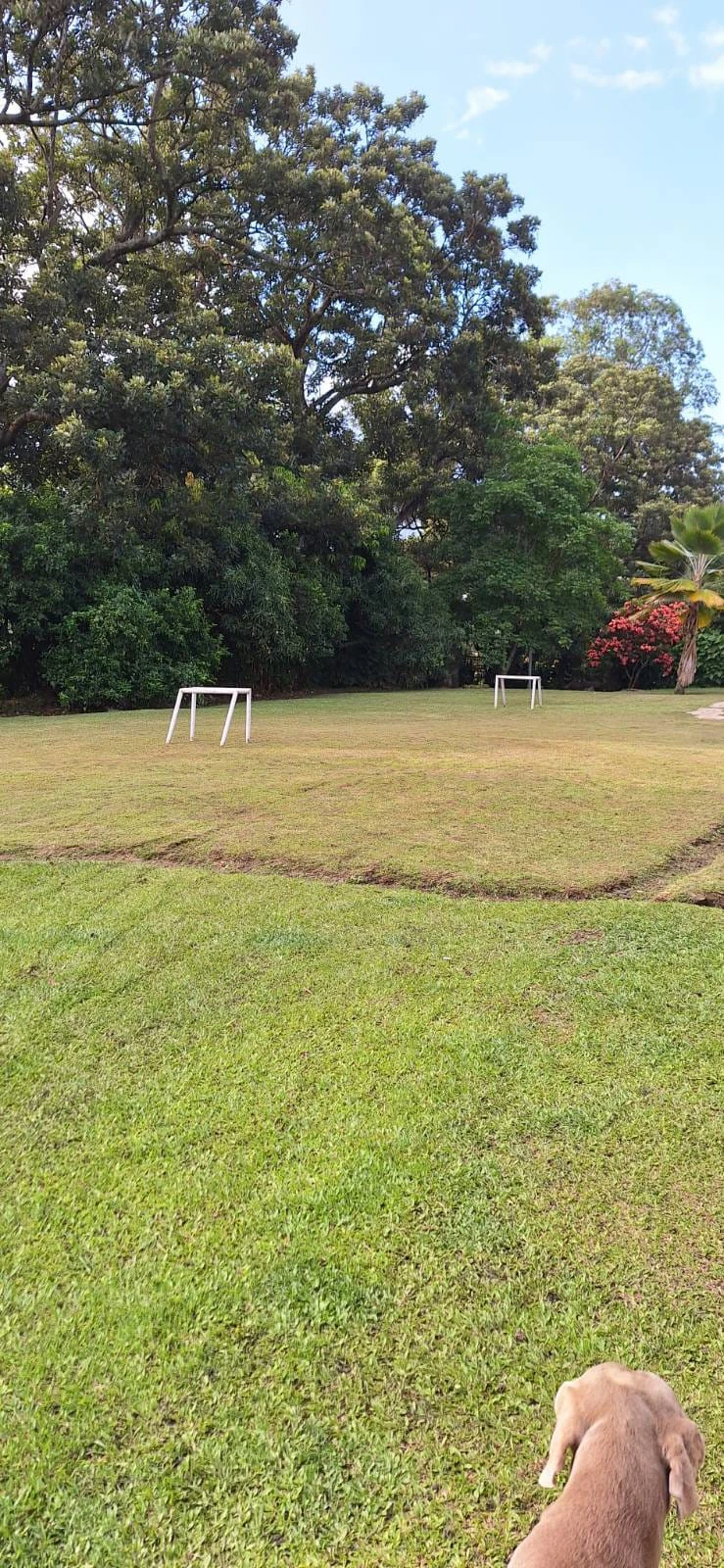 Finca de recreo en arriendo en copacabana
