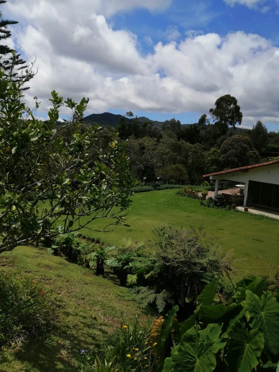 Casa campestre en arriendo y venta en el Retiro en Vía Palmas 