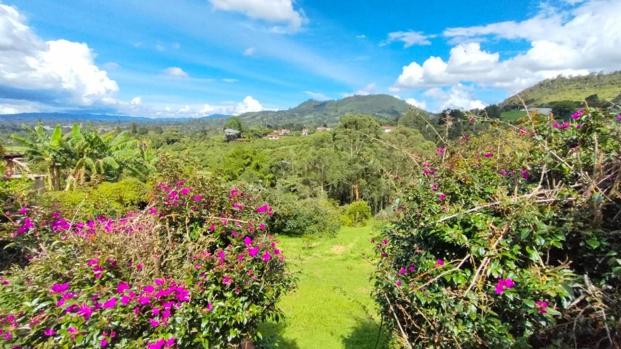 CASA CAMPESTRE EN VENTA O ARRIENDO EN PONTEZUELA, RIONEGRO 