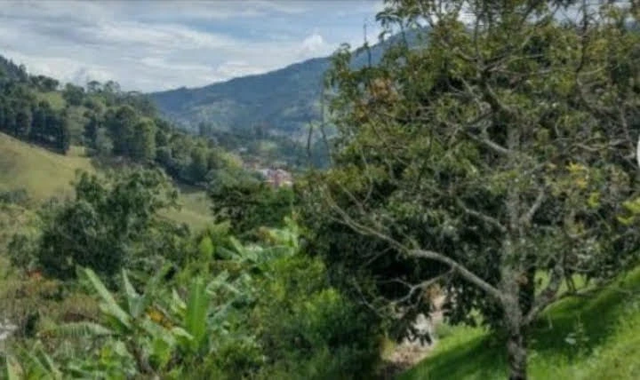 Casa campestre en Arriendo Vereda San Isidro La Estrella