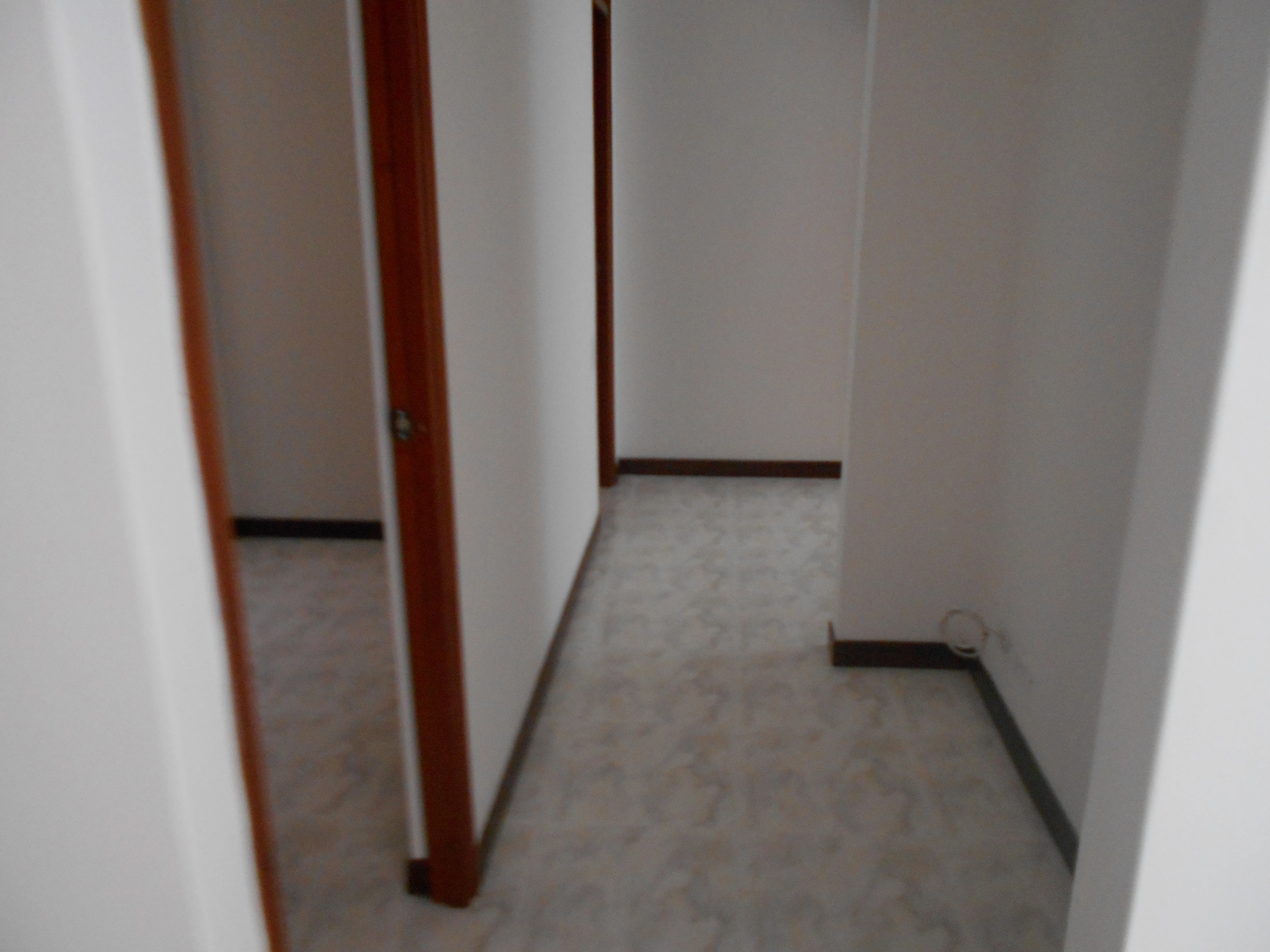 apartamento en arriendo sector centro el palo con colombia
