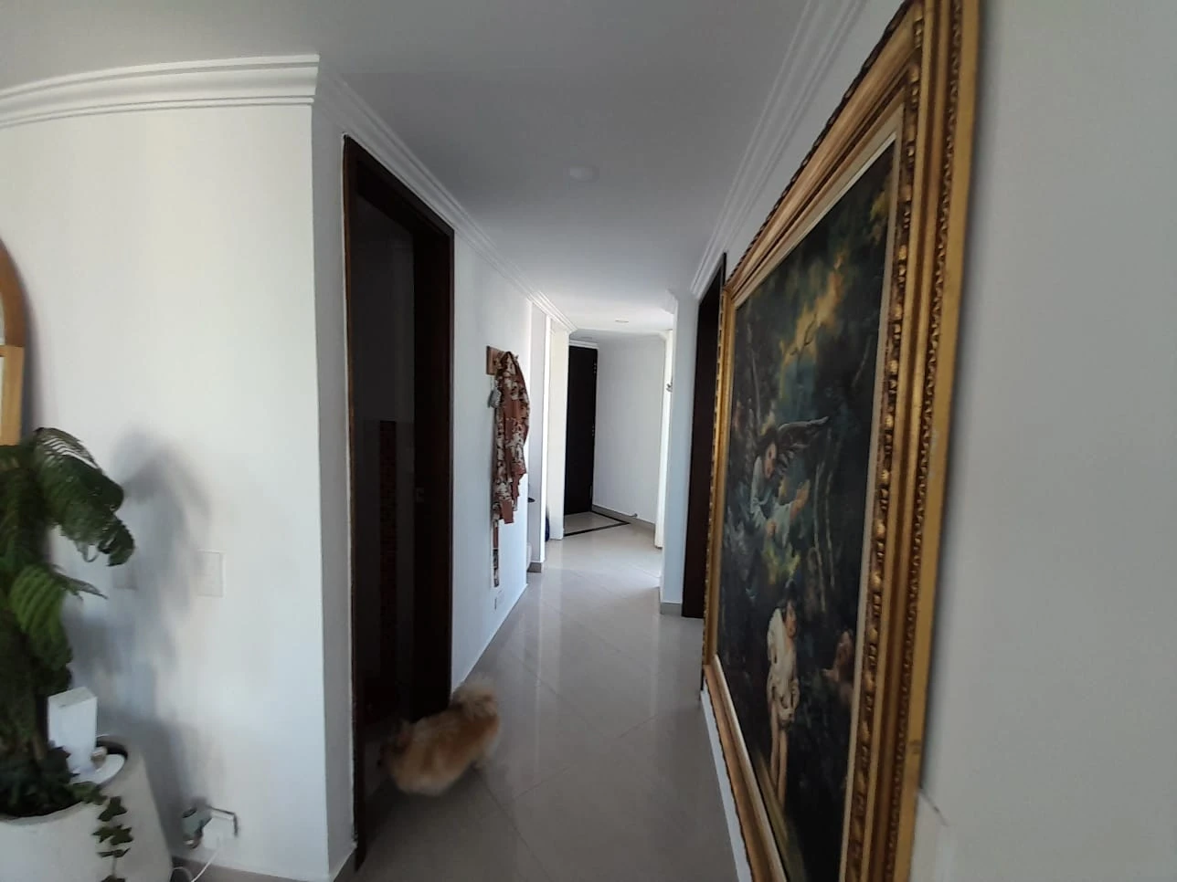 Apartamento en arriendo la frontera