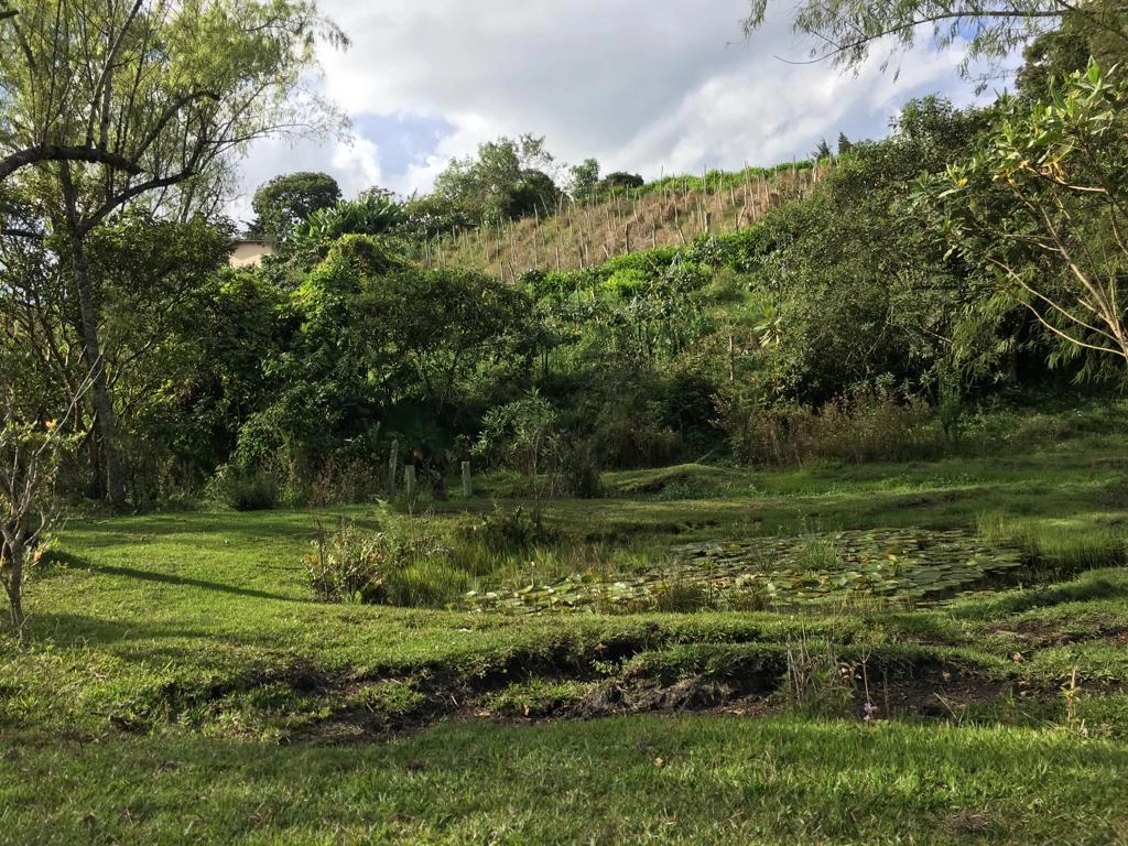 LOTE EN VENTA RIONEGRO - LA MOSQUITA 