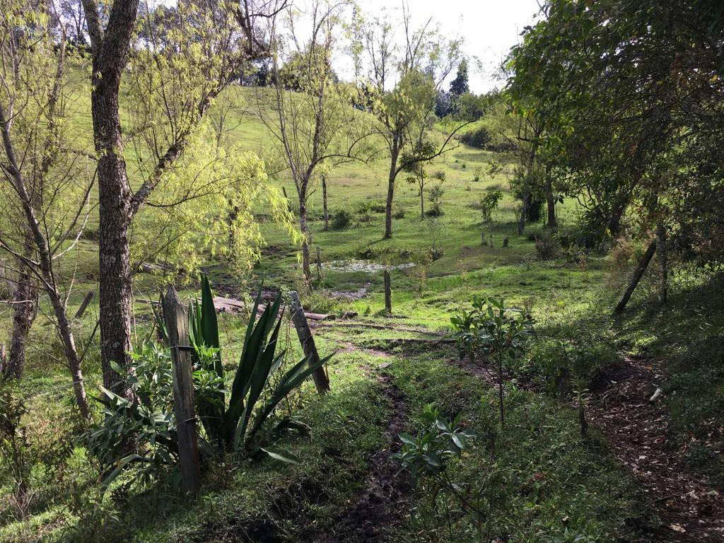 LOTE EN VENTA RIONEGRO - LA MOSQUITA 