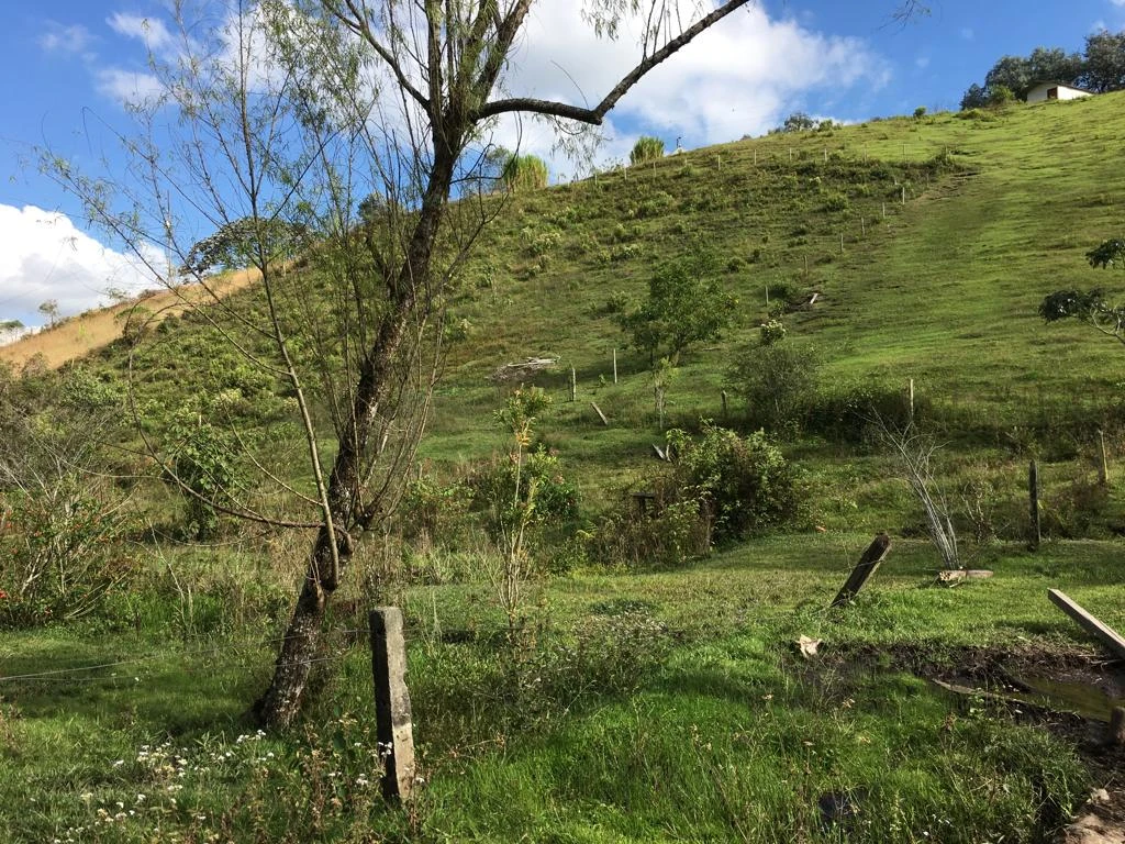 LOTE EN VENTA RIONEGRO - LA MOSQUITA 