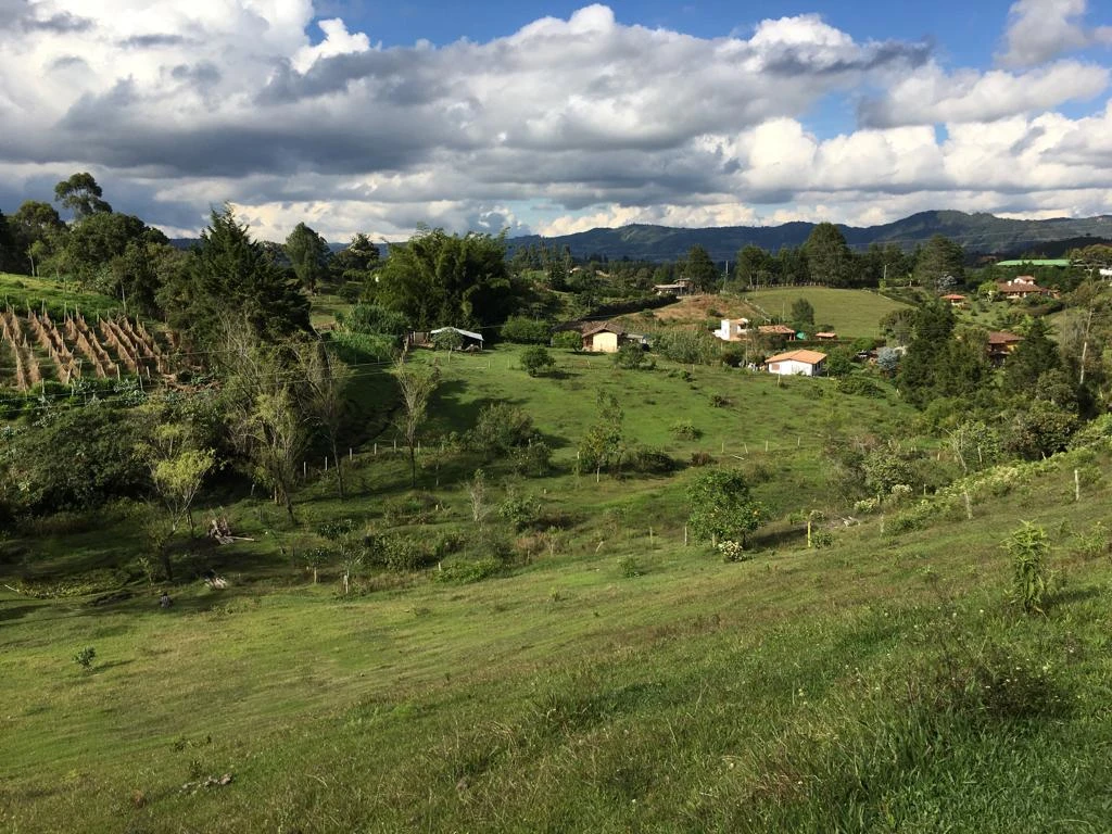 LOTE EN VENTA RIONEGRO - LA MOSQUITA 