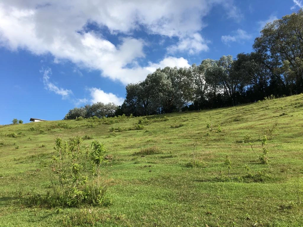 LOTE EN VENTA RIONEGRO - LA MOSQUITA 