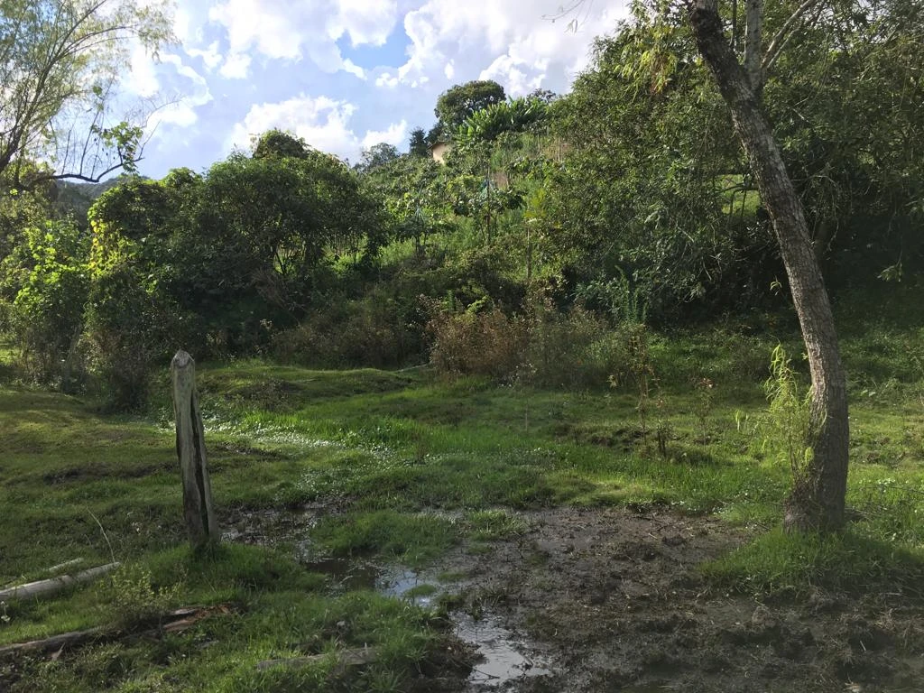 LOTE EN VENTA RIONEGRO - LA MOSQUITA 