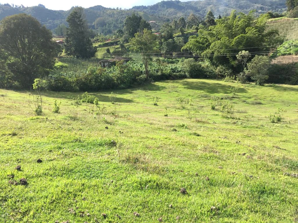 LOTE EN VENTA RIONEGRO - LA MOSQUITA 