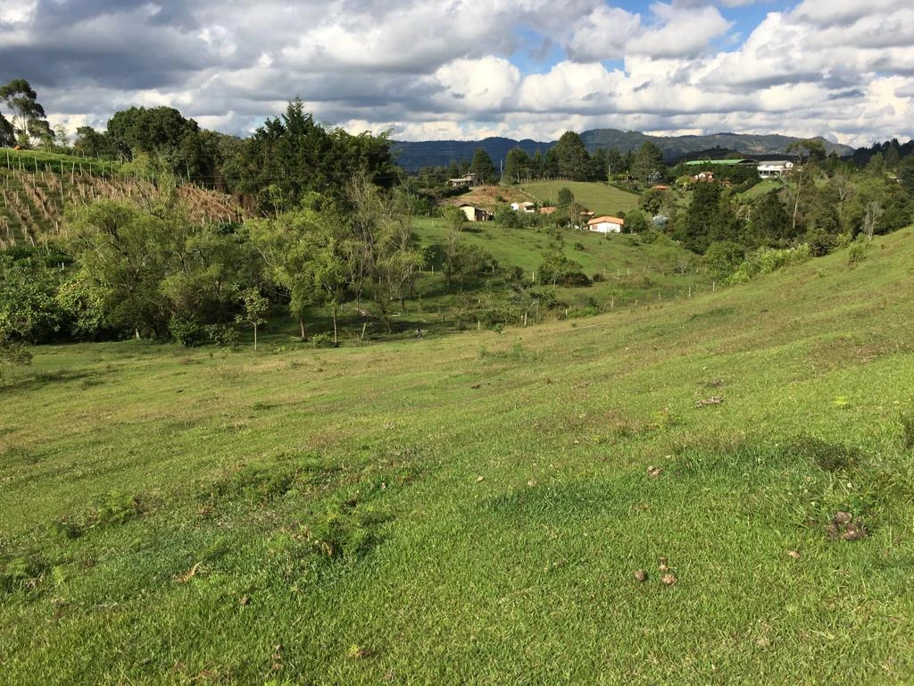 LOTE EN VENTA RIONEGRO - LA MOSQUITA 