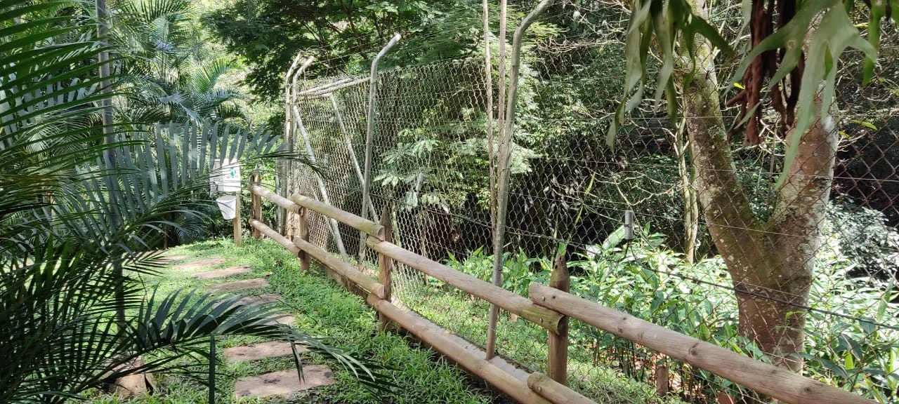 Apartamento en Arriendo sector la 34 cerca a Balsos