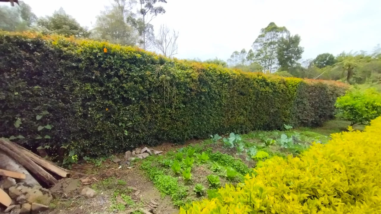 CASA LOTE EN ARRIENDO SECTOR AEROPUERTO JMC; RIONEGRO
