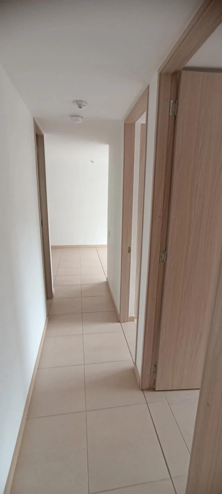 Apartamento en Arriendo Amazonia Bello