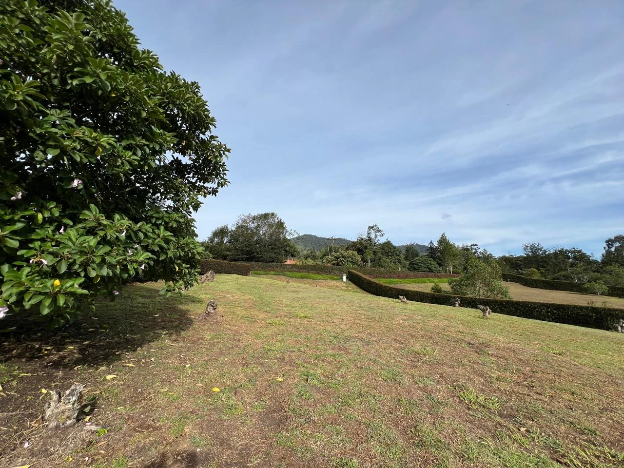 lote en venta la ceja 