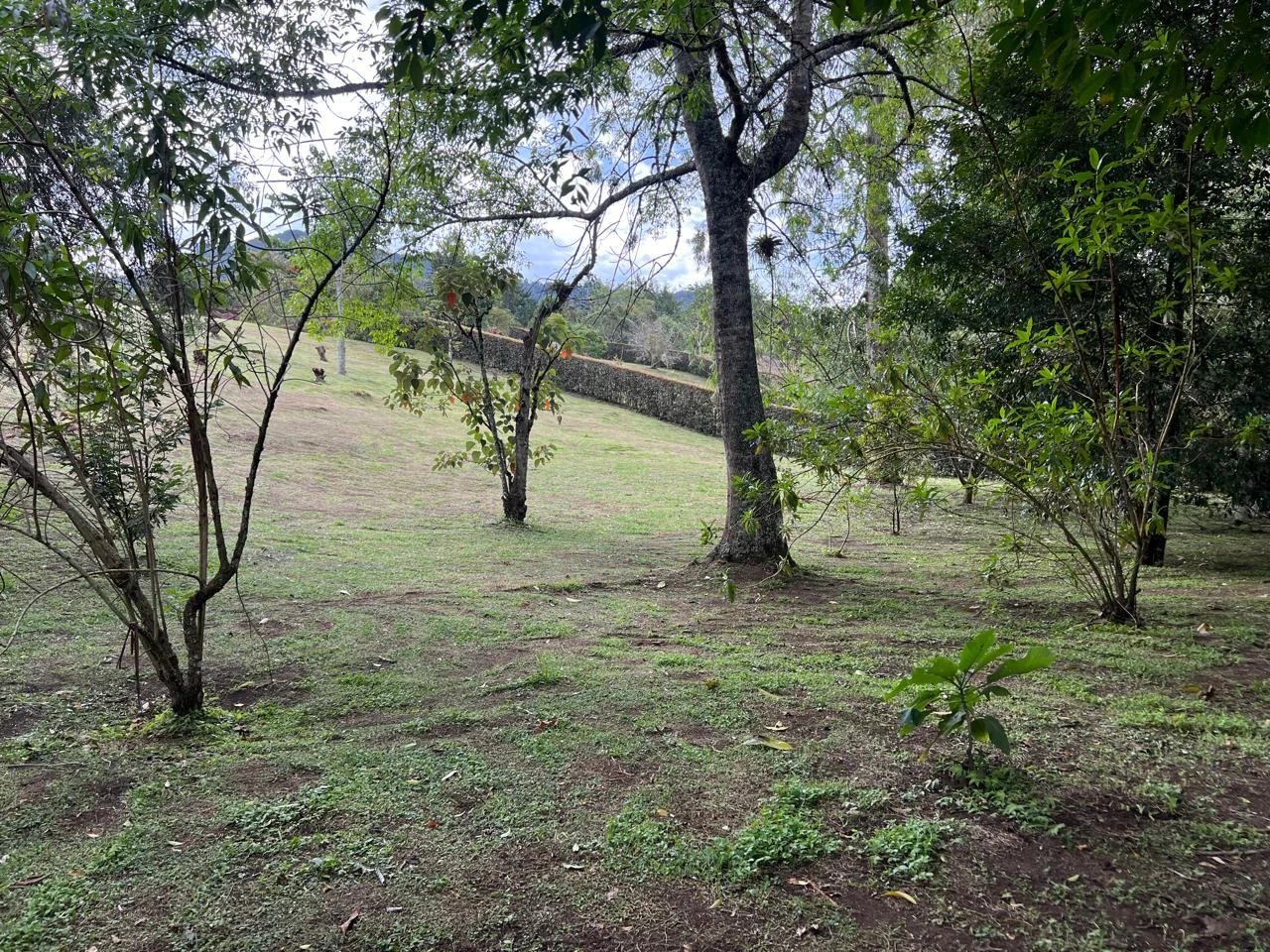 lote en venta la ceja 