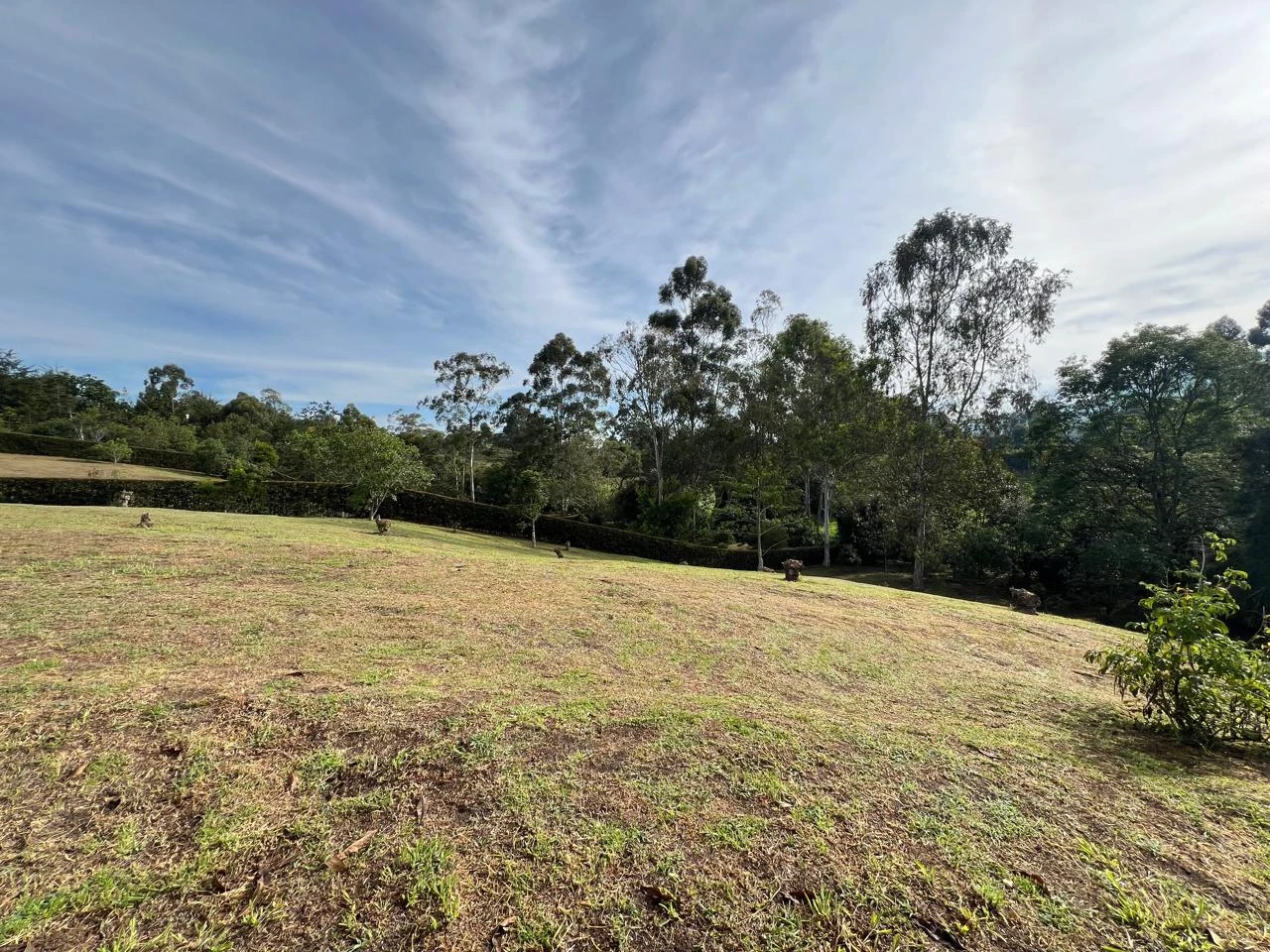lote en venta la ceja 