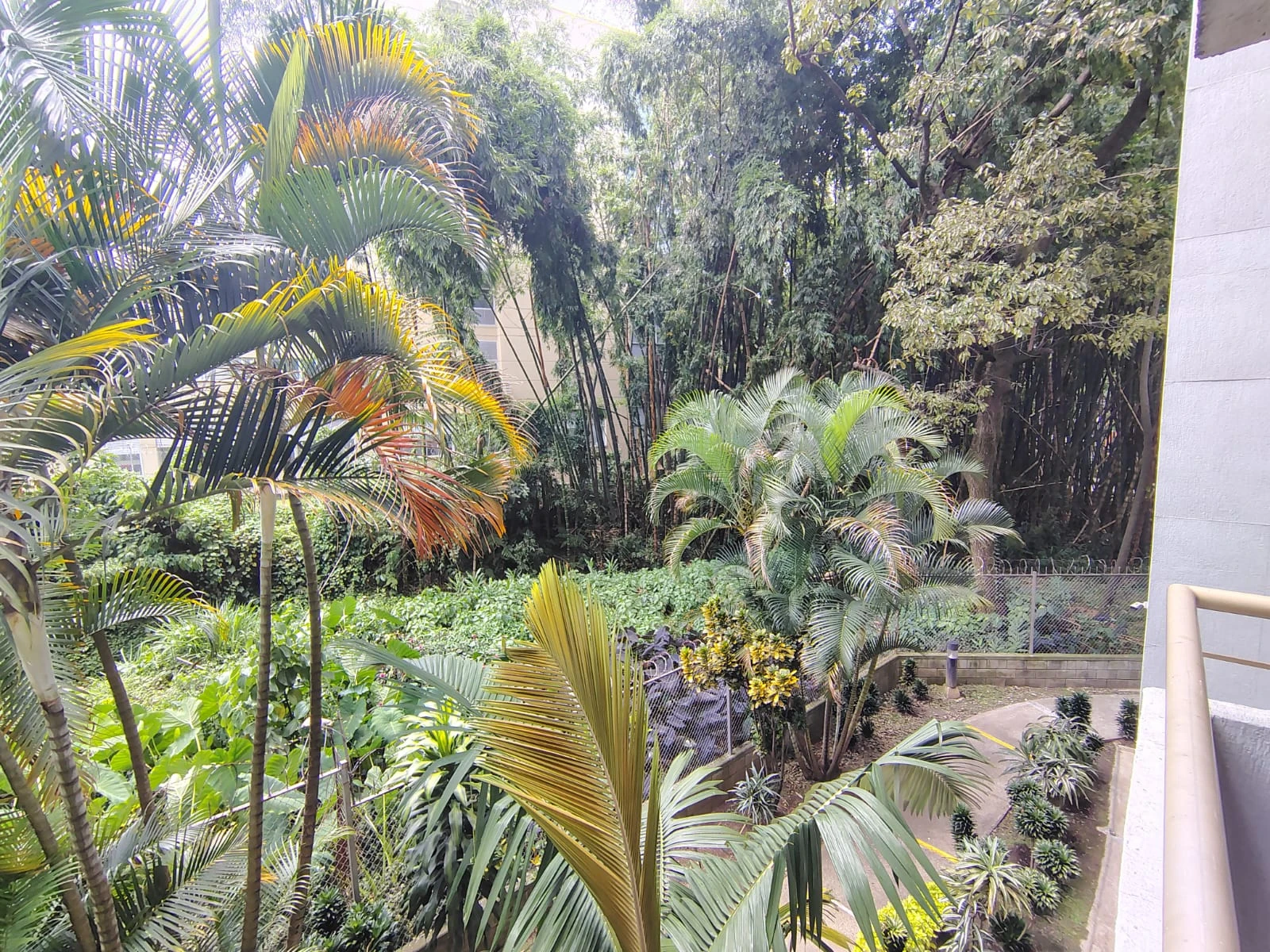 Apartamento en arriendo sector Mayorca